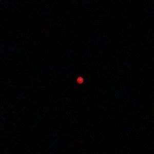 Meet your Posher, Miguel